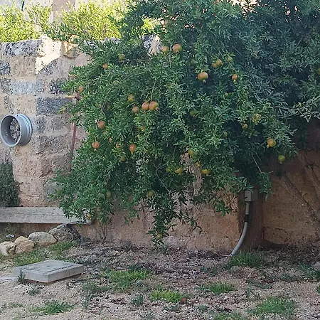 La Sita - Melograno Apartman Neviano